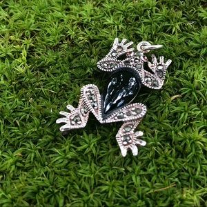 Sterling Silver Onyx Frog Pendant
